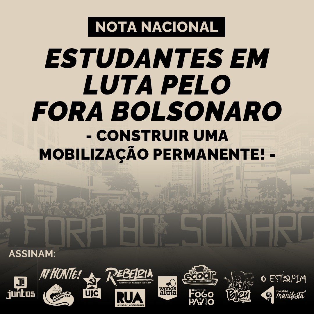 Estudantes em luta pelo Fora Bolsonaro: construir uma mobilização permanente!