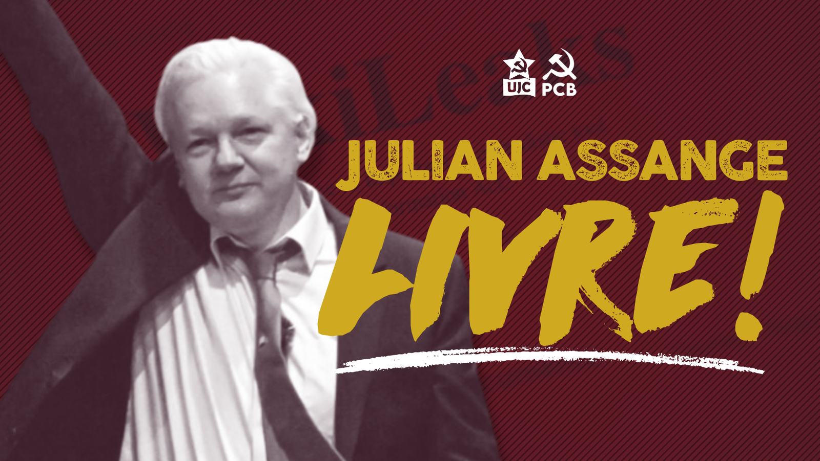 Julian Assange Livre!