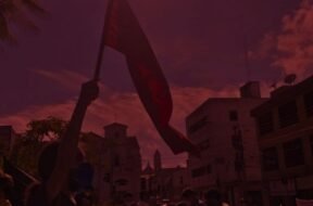 Imagem de um militante da UJC segurando uma bandeira vermelha do PCB.