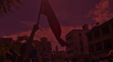 Imagem de um militante da UJC segurando uma bandeira vermelha do PCB.