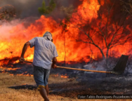 A fotografia mostra um homem de costas, usando uma camisa de manga curta e chapéu para se proteger do calor, segurando uma ferramenta enquanto tenta combater um grande incêndio florestal. As chamas tomam conta da vegetação à sua frente, em um cenário que evidencia a gravidade e o descontrole das queimadas. O fogo consome tudo ao redor, espalhando fumaça e calor intenso, com árvores secas e o solo queimado em primeiro plano. A imagem transmite a urgência e o drama da crise climática que se abate sobre o Brasil, especialmente nas regiões mais vulneráveis, como o Cerrado e a Amazônia.