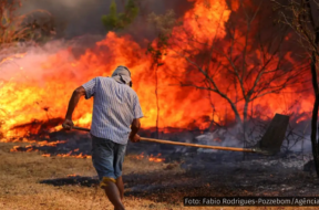 A fotografia mostra um homem de costas, usando uma camisa de manga curta e chapéu para se proteger do calor, segurando uma ferramenta enquanto tenta combater um grande incêndio florestal. As chamas tomam conta da vegetação à sua frente, em um cenário que evidencia a gravidade e o descontrole das queimadas. O fogo consome tudo ao redor, espalhando fumaça e calor intenso, com árvores secas e o solo queimado em primeiro plano. A imagem transmite a urgência e o drama da crise climática que se abate sobre o Brasil, especialmente nas regiões mais vulneráveis, como o Cerrado e a Amazônia.