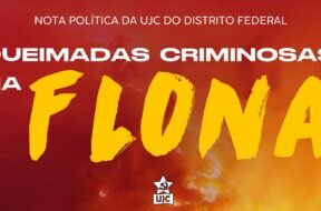 Imagem de fundo vermelho alaranjado, representando chamas, inscrição "QUEIMADAS CRIMINOSAS NA FLONA" ao centro. Centralizado acima, está escrito "NOTA POLÍTICA DA UJC DO DISTRITO FEDERAL". Na parte inferior da imagem, encontra-se o logotipo da União da Juventude Comunista (UJC), composto por uma foice e martelo dentro de uma estrela e uma flâmula abaixo desta com a inscrição "UJC".