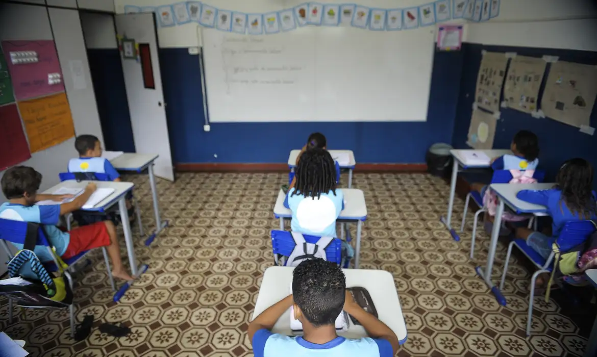 Breve panorama da Educação Básica